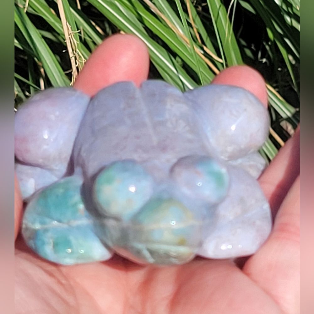 Ocean Jasper Frog - Picture 6 of 10